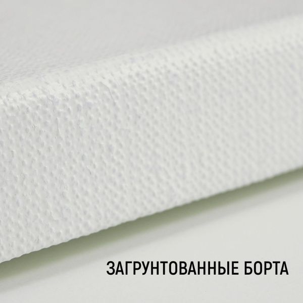 Холст на подрамнике, "TAIR", лён, масляный грунт, 480 г/м2, 30 х 40 см - «Таир»