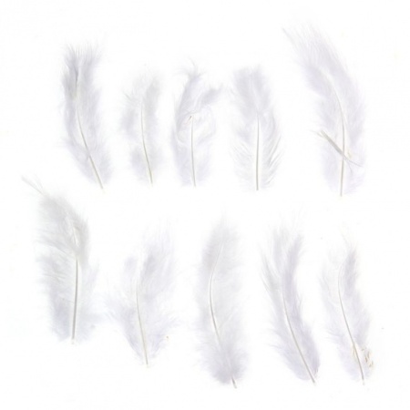 Набор перьев для декора 10 шт, размер 1 шт 10*2 цвет белый - «Таир»
