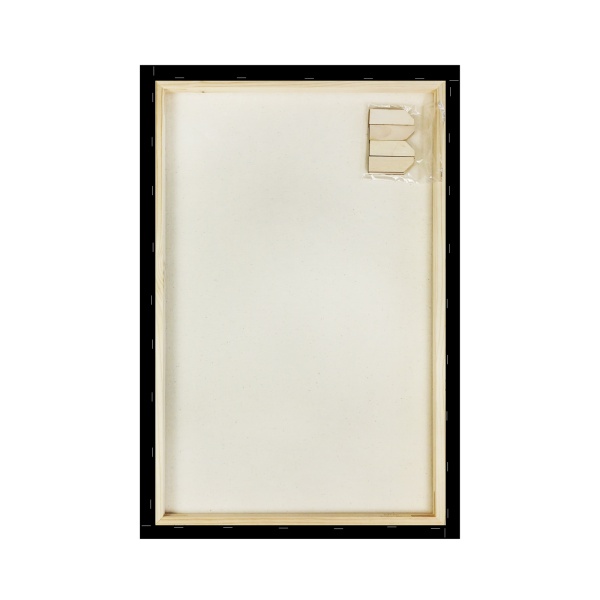 Холст на подрамнике, "TAIR", хлопок, чёрный акриловый грунт, 270 г/м, 40 х 60 см - «Таир»