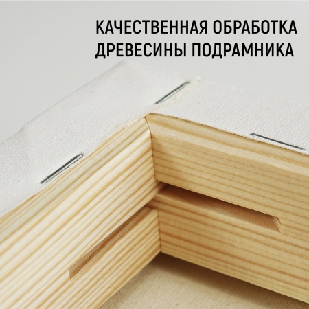 Холст 3D на подрамнике, "TAIR", хлопок, акриловый грунт, 270 г/м2, 50 х 60 см - «Таир»