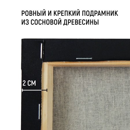 Холст на подрамнике, "TAIR", хлопок, чёрный акриловый грунт, 270 г/м, 40 х 60 см - «Таир»