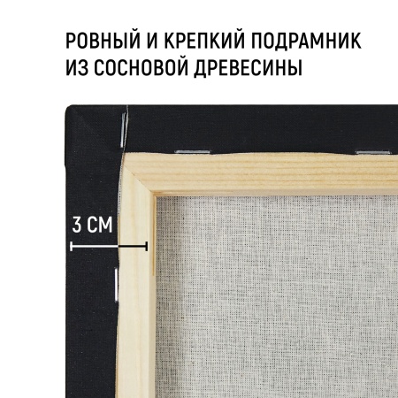Холст на подрамнике, "TAIR", хлопок, чёрный акриловый грунт, 270 г/м, 50 х 70 см - «Таир»