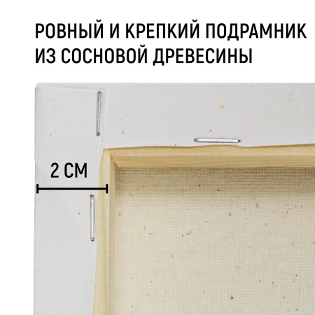Холст на подрамнике, "TAIR", хлопок, акриловый грунт, 270 г/м2, 20 х 30 см - «Таир»