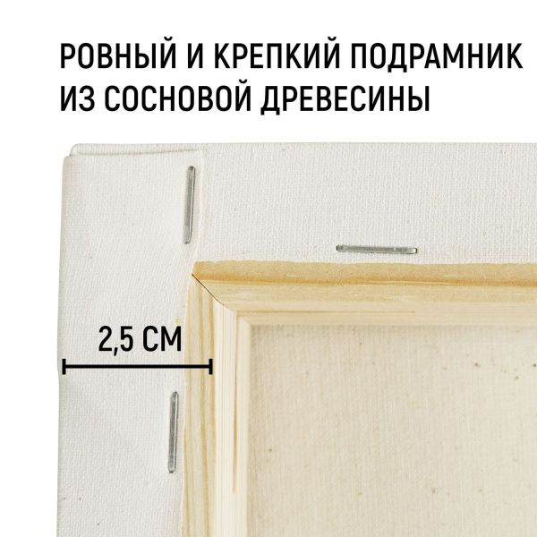 Холст 3D на подрамнике, "TAIR", хлопок, акриловый грунт, 270 г/м2, 50 х 60 см - «Таир»