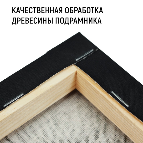 Холст на подрамнике, "TAIR", хлопок, чёрный акриловый грунт, 270 г/м, 40 х 60 см - «Таир»