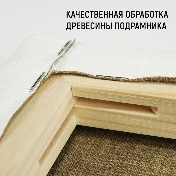 Холст на подрамнике, "TAIR", лён, масляный грунт, 480 г/м2, 30 х 40 см - «Таир»