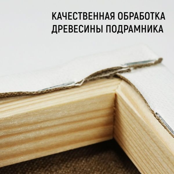 Холст на подрамнике, "TAIR", лён, масляный грунт, 480 г/м2, 20 х 30 см - «Таир»