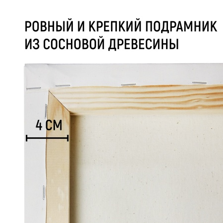 Холст на подрамнике, "TAIR", хлопок, акриловый грунт, 270 г/м2, 50 х 70 см - «Таир»