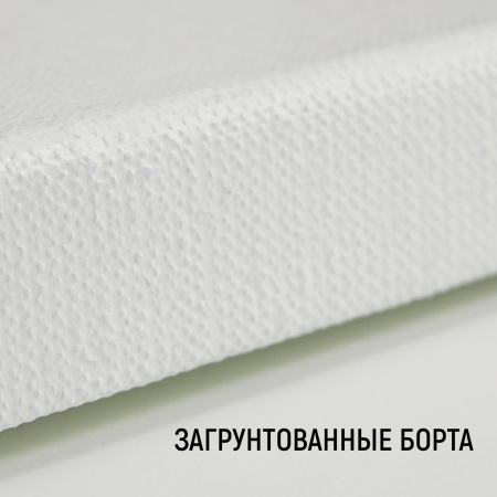 Холст на подрамнике, "TAIR", лён, масляный грунт, 480 г/м2, 20 х 30 см - «Таир»