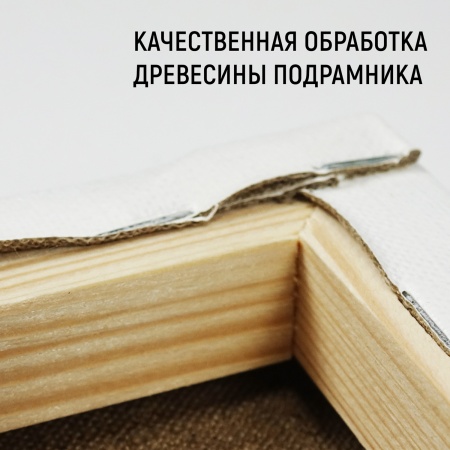 Холст на подрамнике, "TAIR", лён, масляный грунт, 480 г/м2, 20 х 30 см - «Таир»