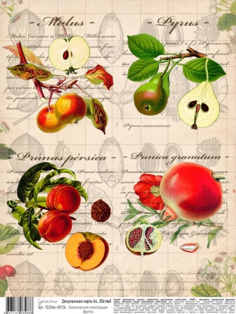 Декупажная карта "Geronimo", А4, 25г/м2, Ботаническая иллюстрация фрукты - «Таир»