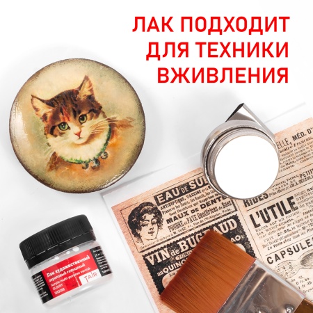 Лак художественный акриловый глянцевый, банка 20 мл - «Таир»