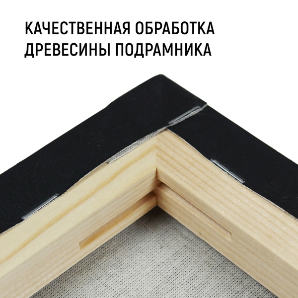 Холст на подрамнике, "TAIR", хлопок, чёрный акриловый грунт, 270 г/м, 40 х 40 см - «Таир»