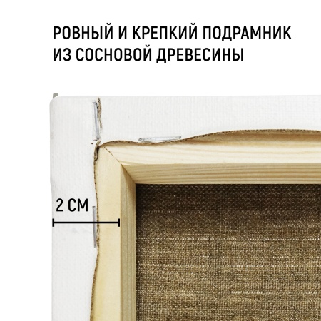 Холст на подрамнике, "TAIR", лён, масляный грунт, 480 г/м2, 20 х 40 см - «Таир»