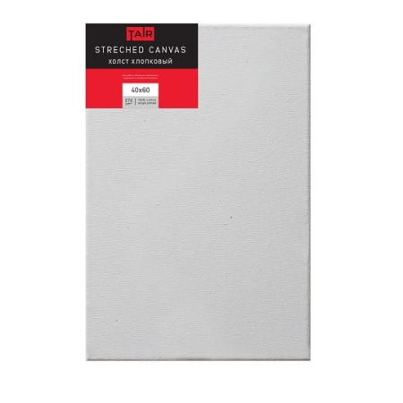 Холст на подрамнике, "TAIR", хлопок, акриловый грунт, 270 г/м2, 40 х 60 см - «Таир»