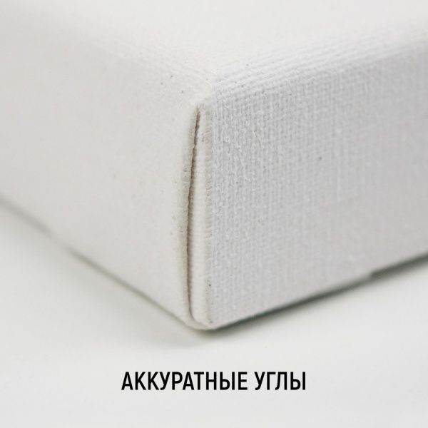 Холст на подрамнике, "TAIR", хлопок, акриловый грунт, 270 г/м2, 40 х 60 см - «Таир»