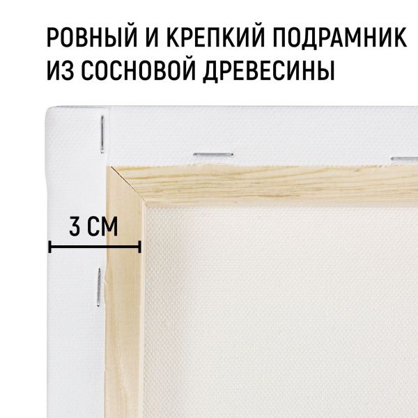 Холст на подрамнике, "TAIR", хлопок, акриловый грунт, 380 г/м2, 30 х 40 см - «Таир»