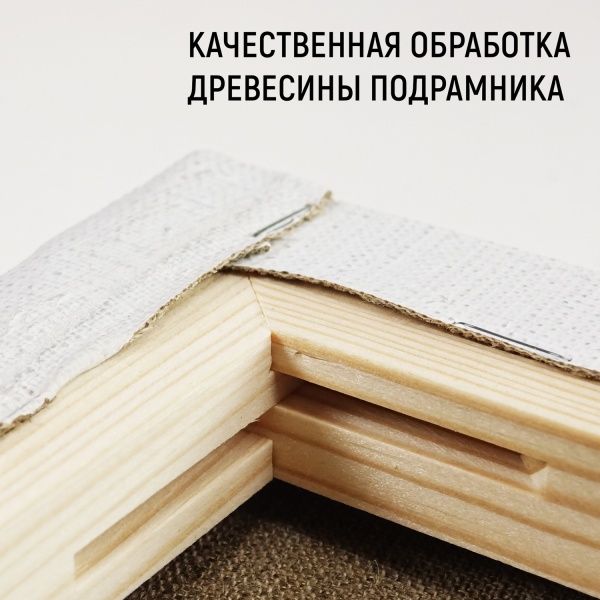 Холст на подрамнике, "TAIR", лён, акриловый грунт, 480 г/м2, 40 х 40 см - «Таир»