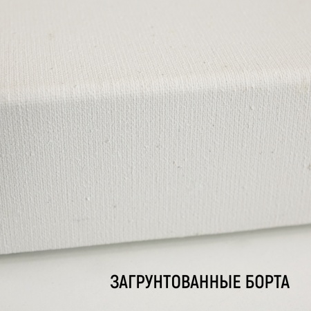 Холст 3D на подрамнике, "TAIR", хлопок, акриловый грунт, 270 г/м2, 50 х 60 см - «Таир»