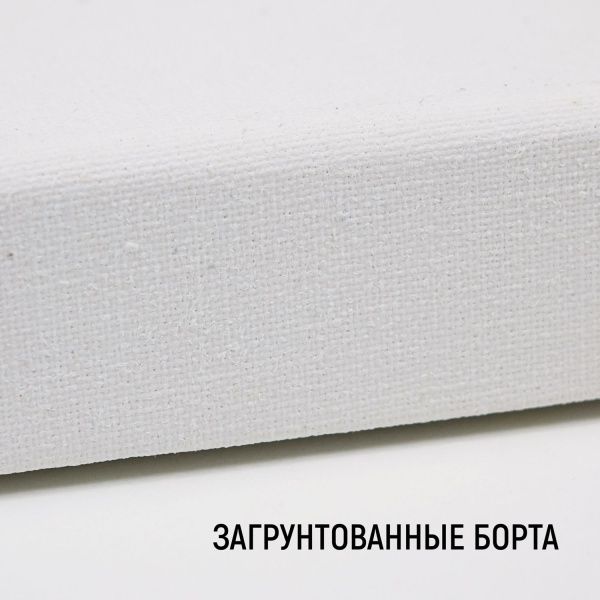 Холст на подрамнике, "TAIR", хлопок, акриловый грунт, 270 г/м2, 40 х 60 см - «Таир»