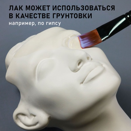 Лак художественный акриловый матовый, банка 20 мл - «Таир»