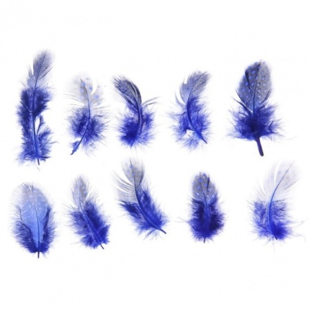Набор перьев для декора 10 шт, размер 1 шт 5*2 цвет синий с черным - «Таир»